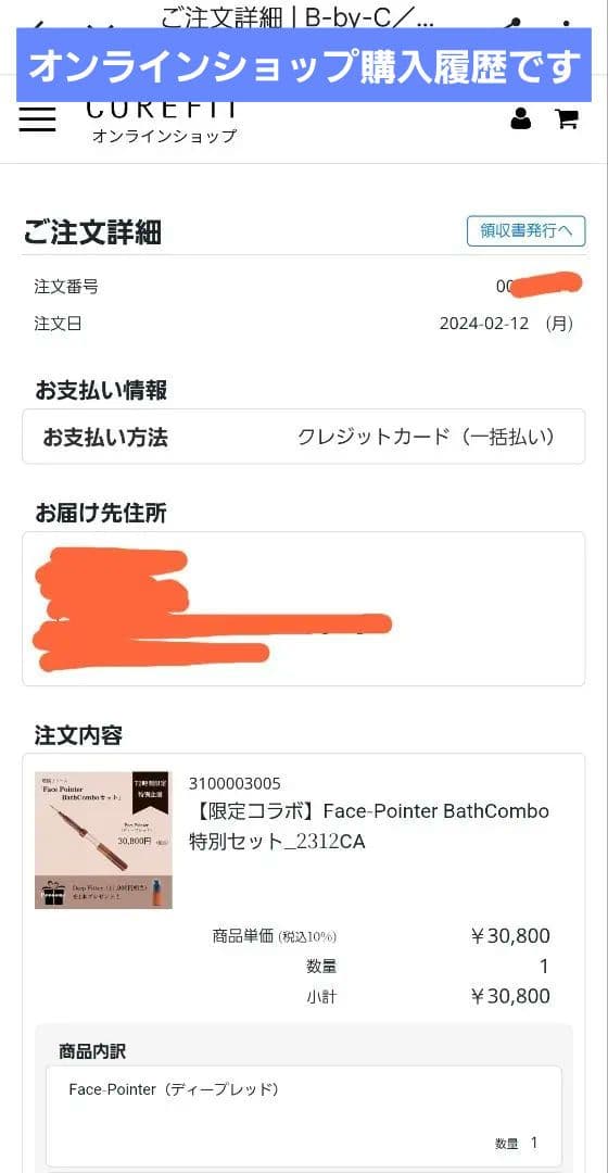 sachi☆　フェイスポインター セット　バスコンボ　ヘッドドライバー