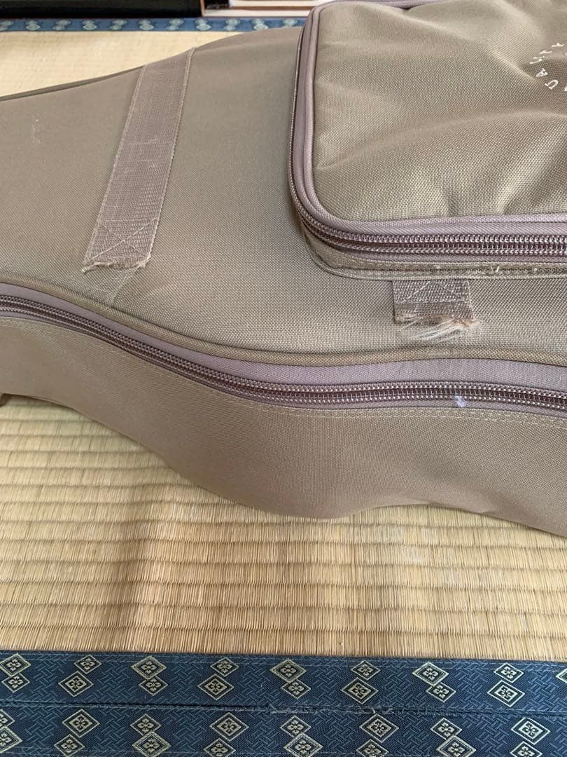 Taylor ギター エレアコ 210ce