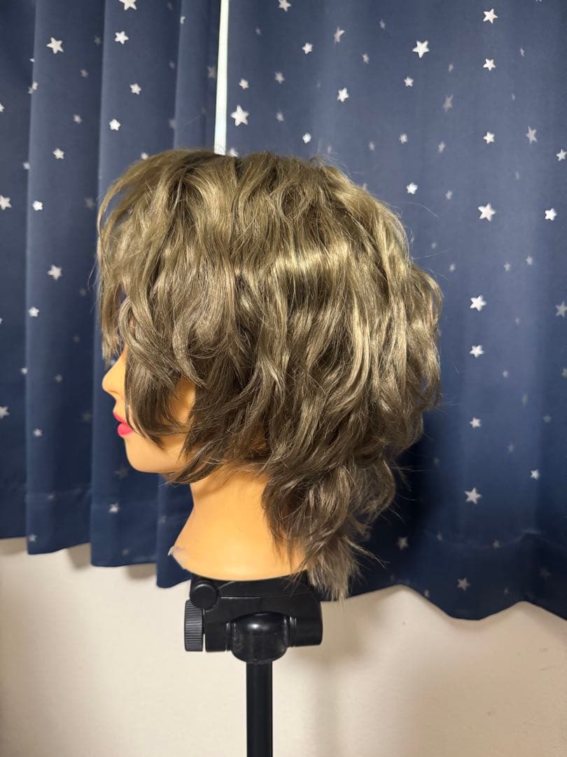 魔法使いの約束 ファウスト コスプレ 衣装 ウィッグ