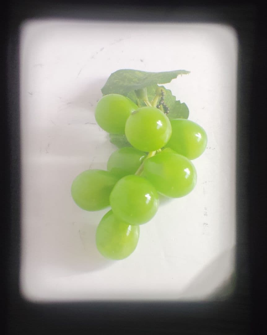 OLYMPUS-PEN EED（動作美品）