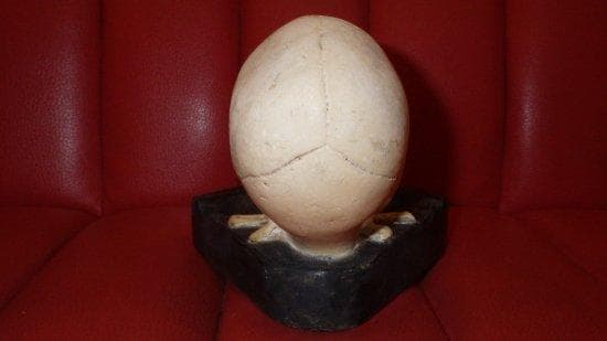 ビンテージ★スカル★灰皿★ドクロ★ガイコツ★アート★置物★小物入れ★髑髏★骸骨