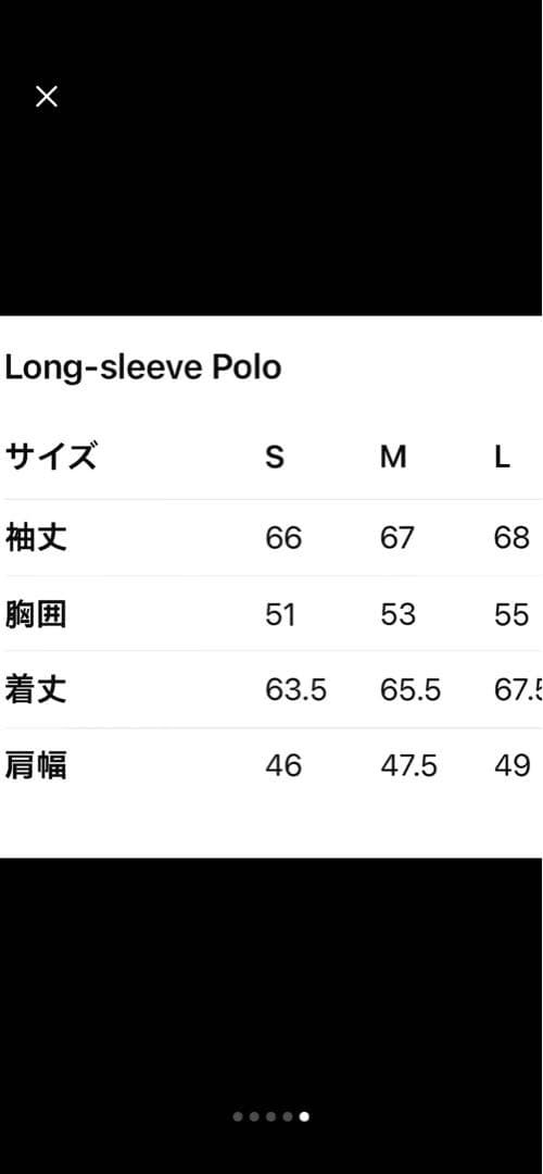 Pedestal ポロシャツ DAB brrrsos着用