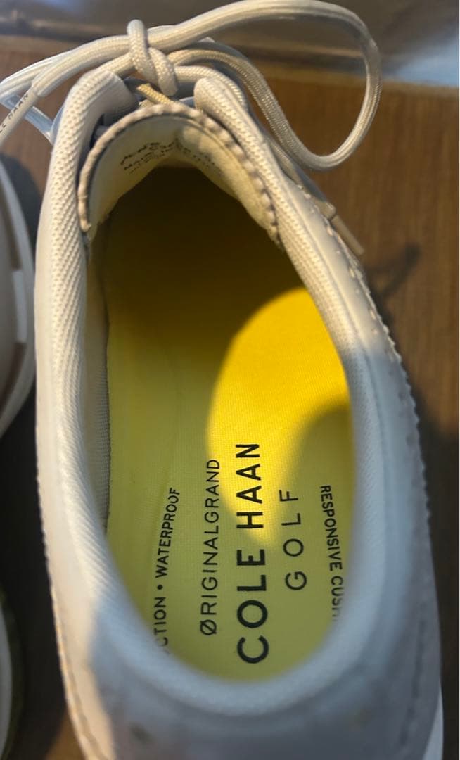 値下げ‼️ コールハーン メンズゴルフジュース 10M 27.5cm 美品