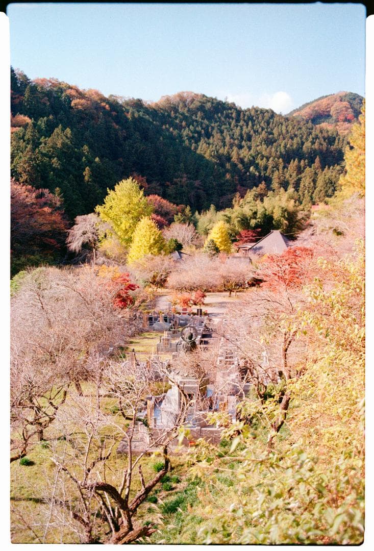 フィルムカメラ Konica HEXAR RF Limited + Zeiss ZM 35 F2