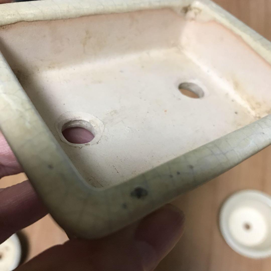 美豊　日本小品盆栽名品展出品記念ミニ盆栽鉢青竹絵付け他貫入白長方ミニ鉢白鉢セット