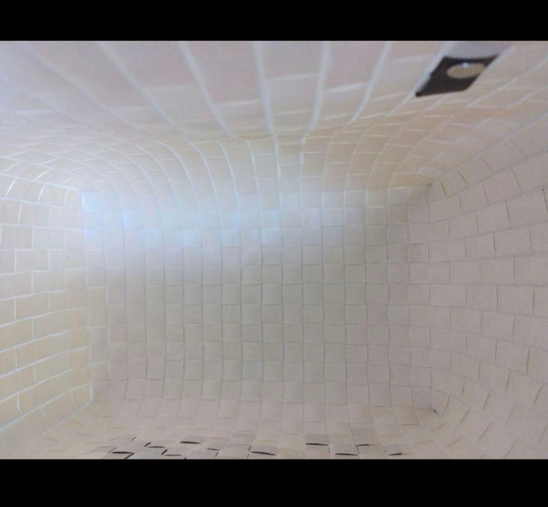 MARNI マルニ かごバッグ ハンドバッグ　猫　動物　新品未使用