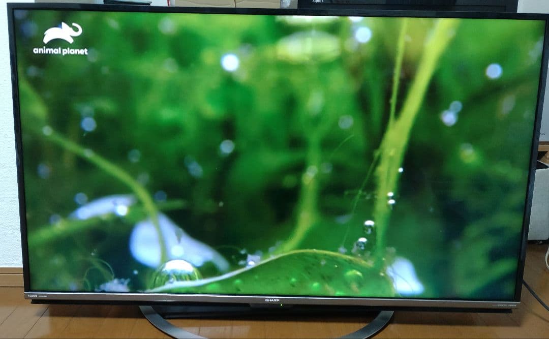 最終値下げ！送料無料！SHARP 液晶テレビ　50インチ　2017年製