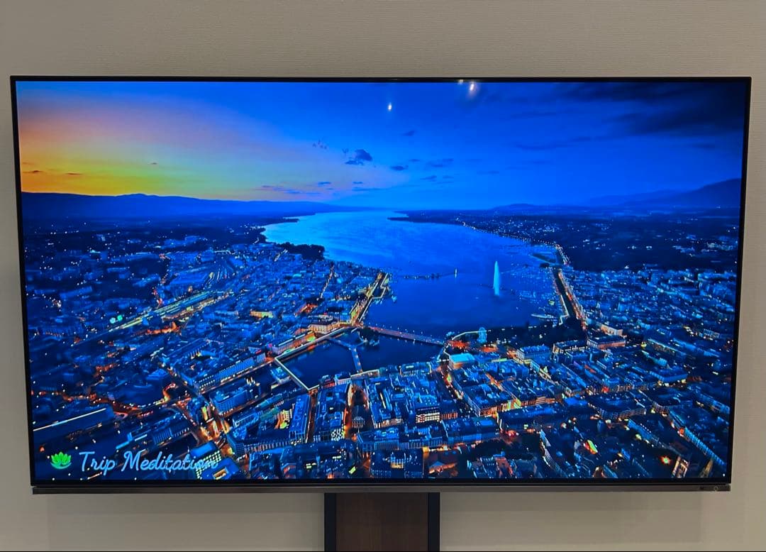 【送料無料】TOSHIBA 2021年製 65型 REGZA 65X8900K