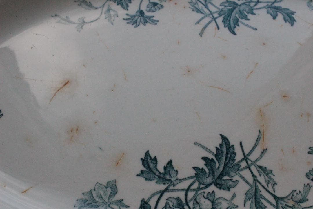 フランスアンティーク/サルグミンヌELVIRE・オーバルプレート