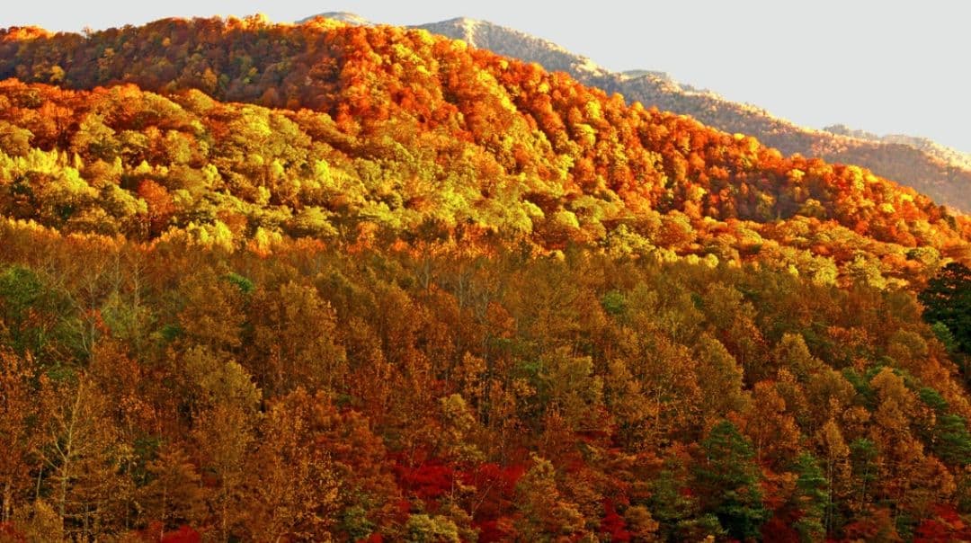 PENTAX K100D 1本で広角から望遠レンズ　ペンタックス　一眼レフ