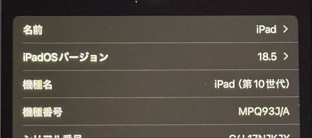 ipad第10世代 256gb ブルー