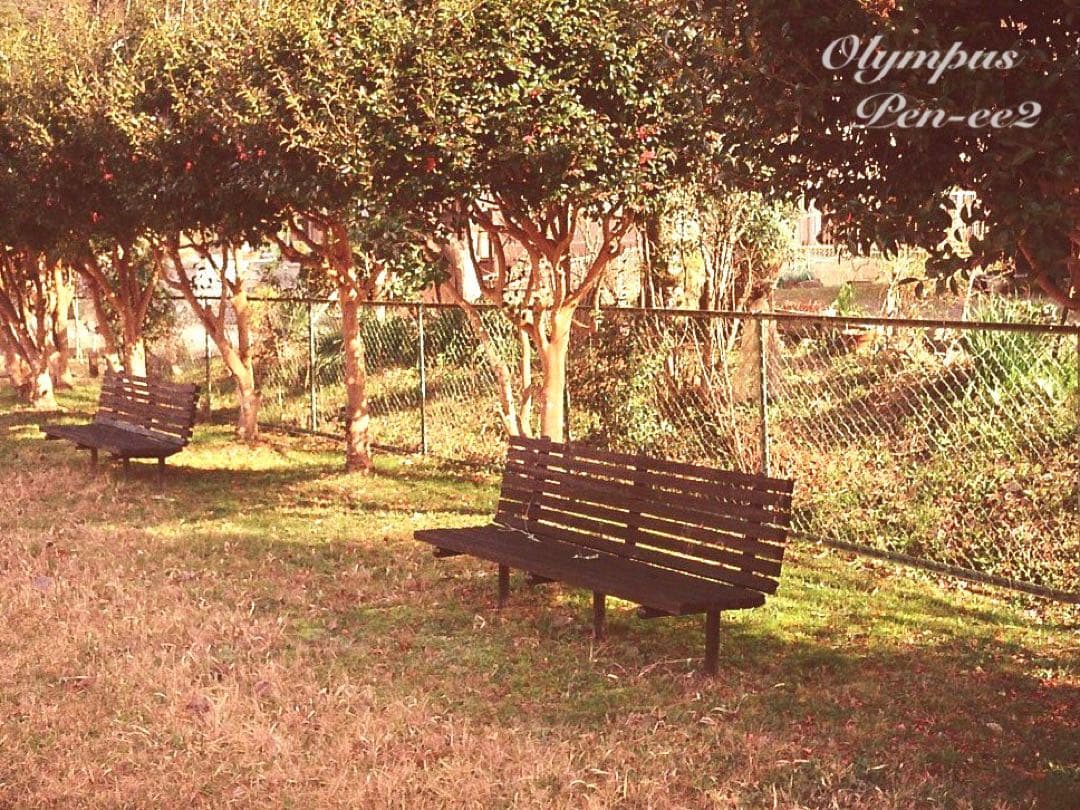 ★完動品＊美品★olympus pen ee2★フィルムカメラ入門に！★本革外装