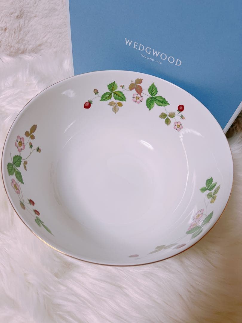  ワイルドストロベリー　サラダボウル