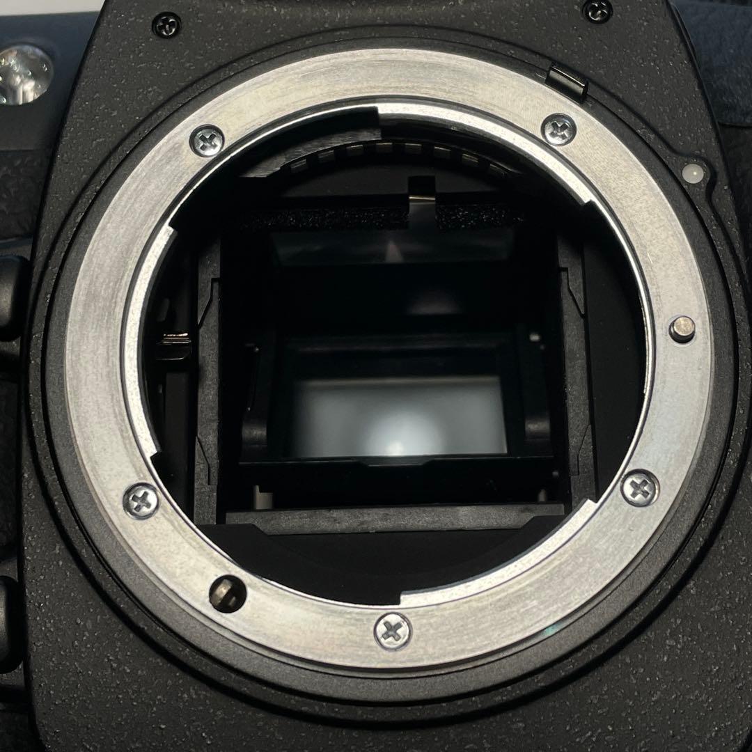 Nikon D200 ｜ショット数7,954枚｜動作確認済｜充電器・バッテリー付