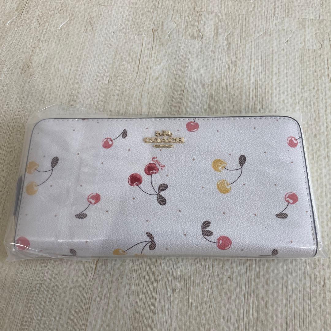 【新品】COACH バッグのみ