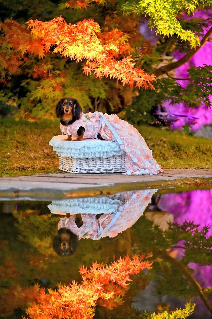 値下げ　Nikon D780 デジタル一眼レフ 超豪華セット