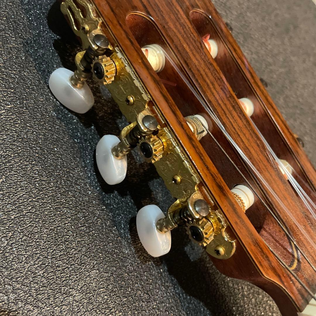 M50 美品 アコースティックギター スプルーストップ