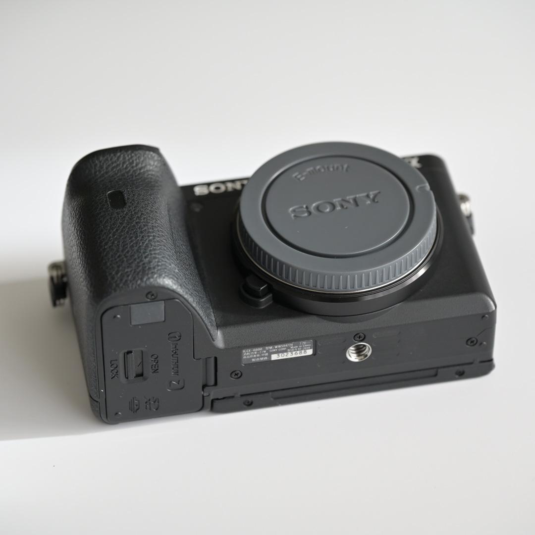 防湿庫保管｜SONY a6600 ＋ Gレンズ 18-105mm F4