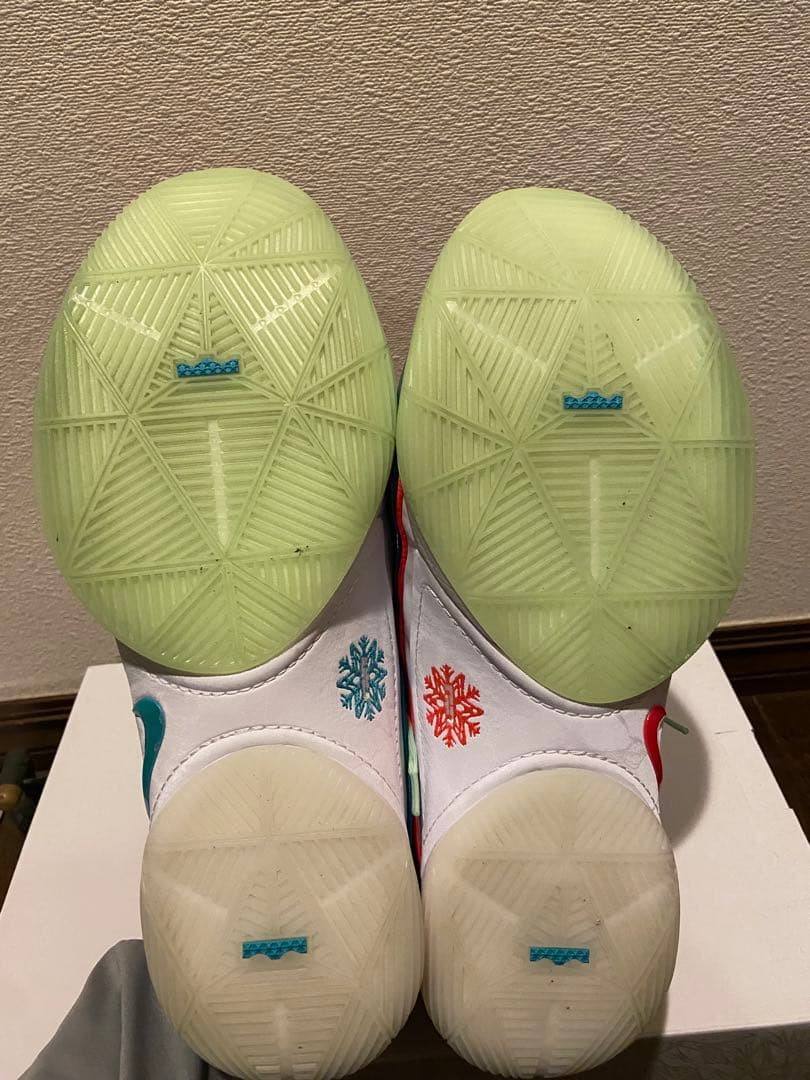 シューズ(男性用) Nike LeBron22 Christmas 30cm