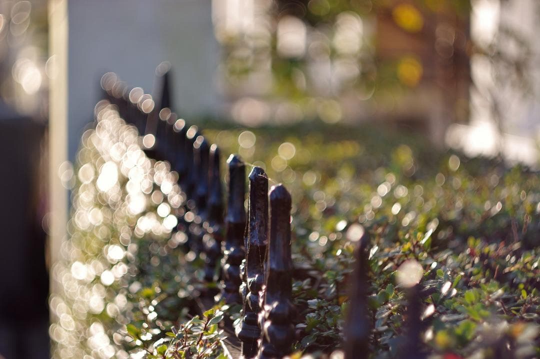 30【希少】Helios44 　美品　初期型ゼブラ　ヘリオス44　ぐるぐるボケ