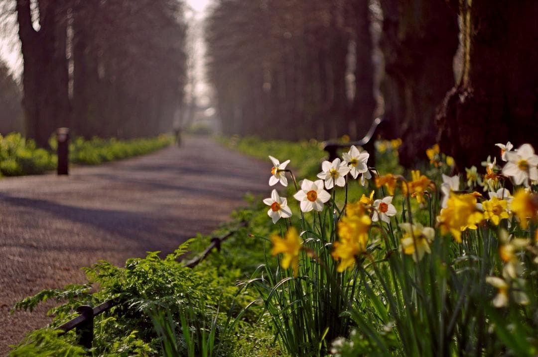 30【希少】Helios44 　美品　初期型ゼブラ　ヘリオス44　ぐるぐるボケ