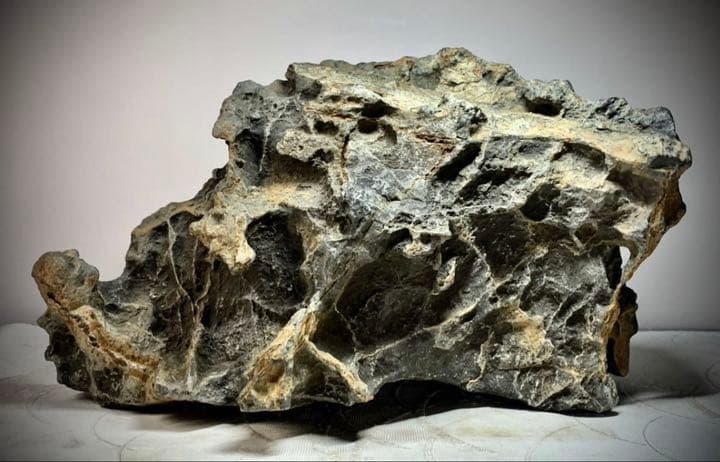 6459 揖斐川白倉谷石 ウブ 横37×高23.5(cm)14.06kg