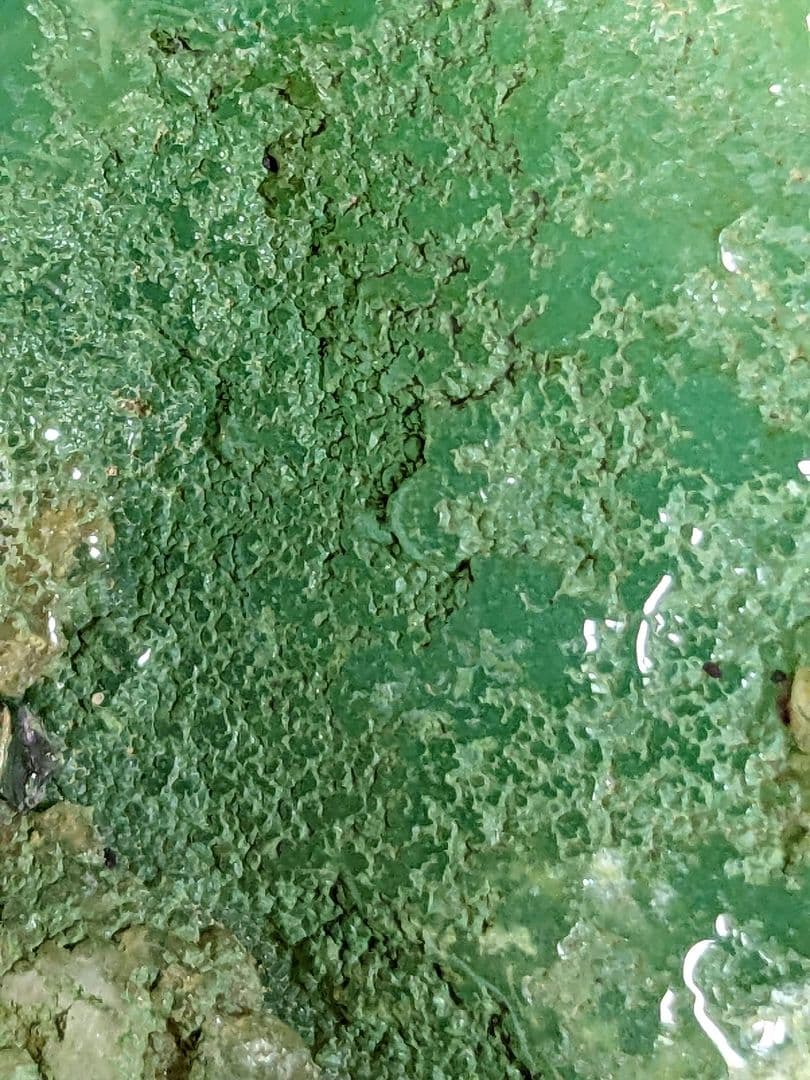 ♦鑑賞石飾り 置物？ 中国翡翠 水石 盆石 鉱物 置物 飾り 骨董品