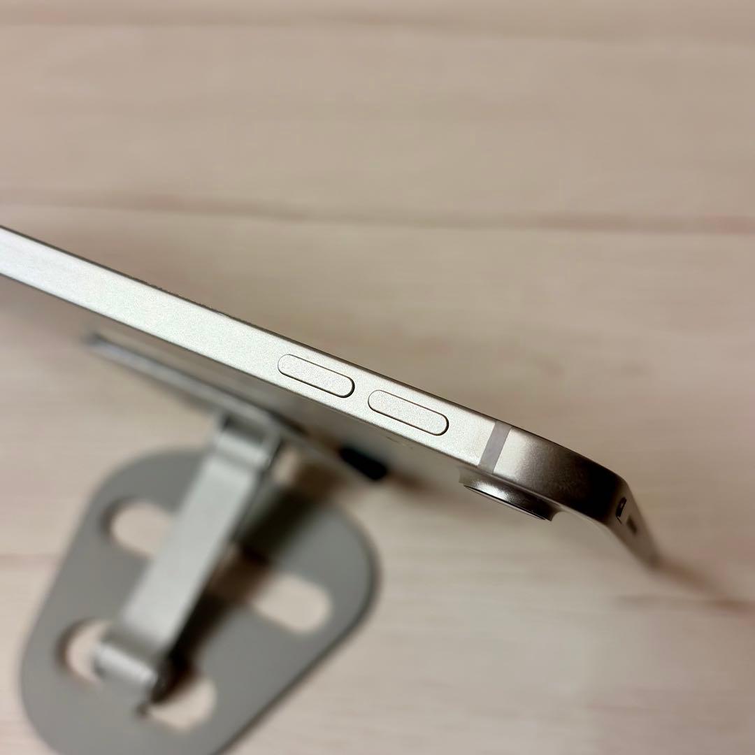 iPad Pro 11インチ 第1世代Wi-Fi+Cellular 256GB