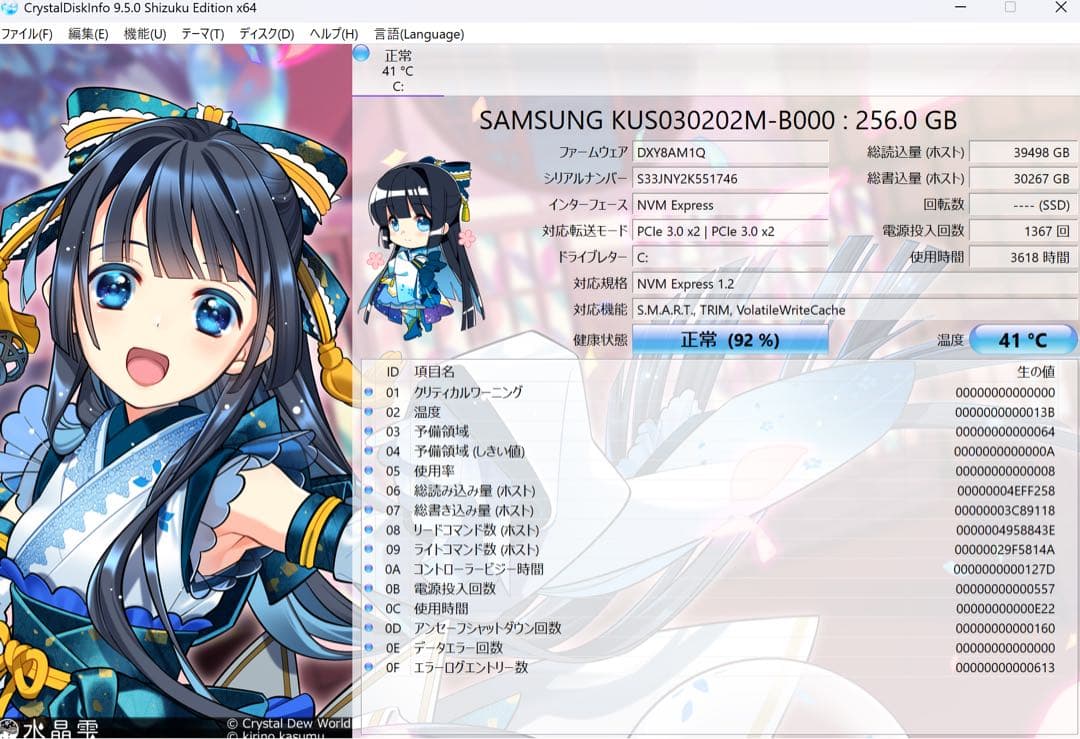 美品バッテリー良好Surface Pro 8GB/256GB i5