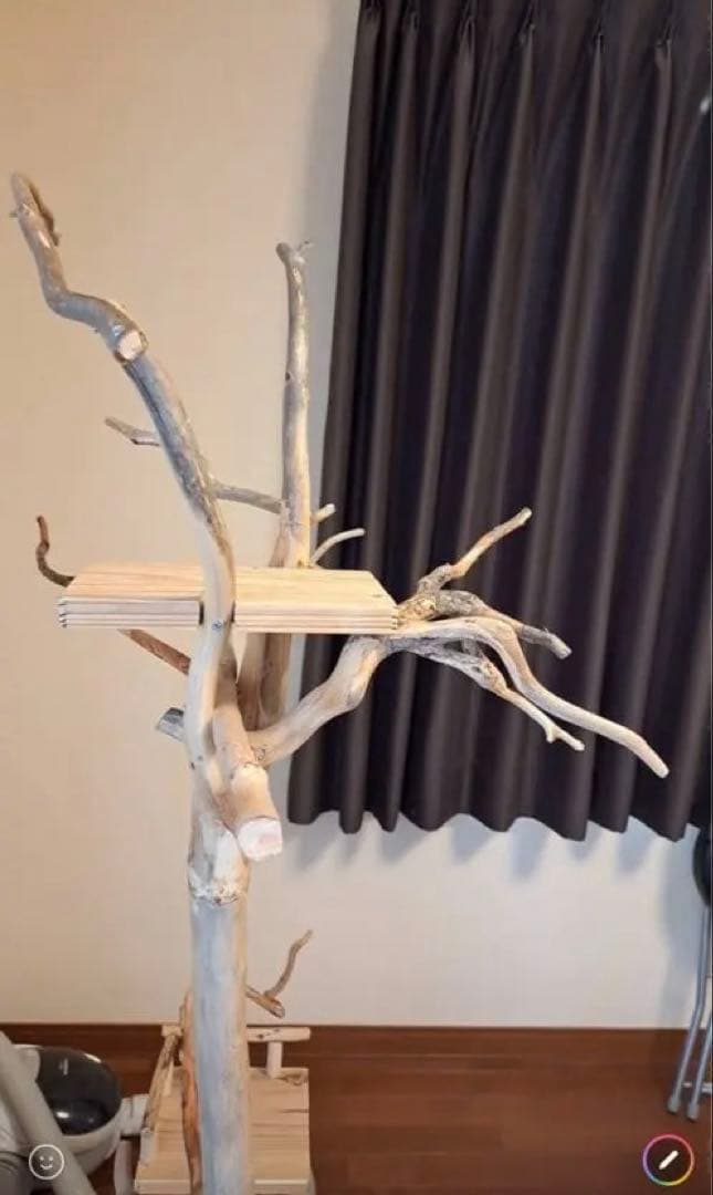 ぴあ　グッズ整理中さま