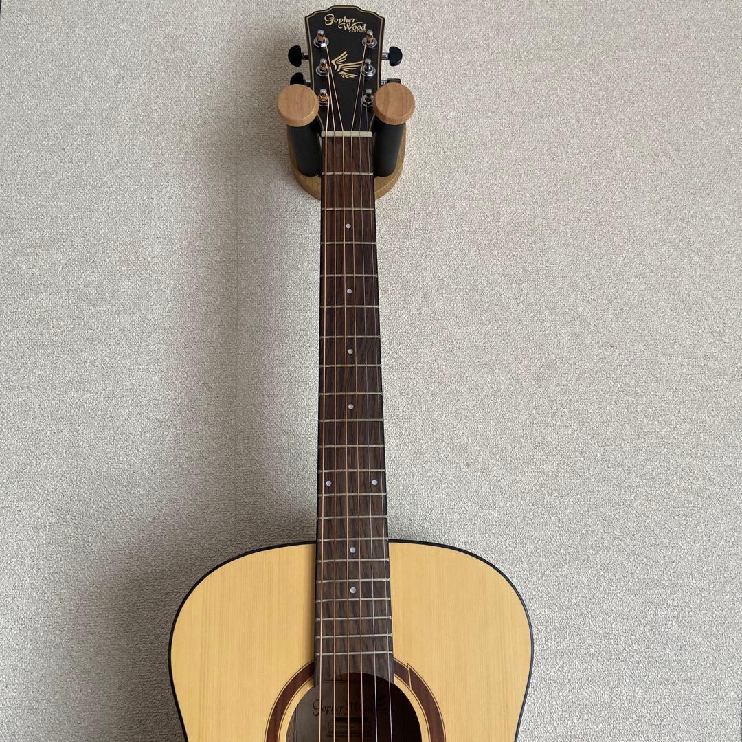 Gopher Wood i110SX　アコースティックギター　ゴフェルウッド