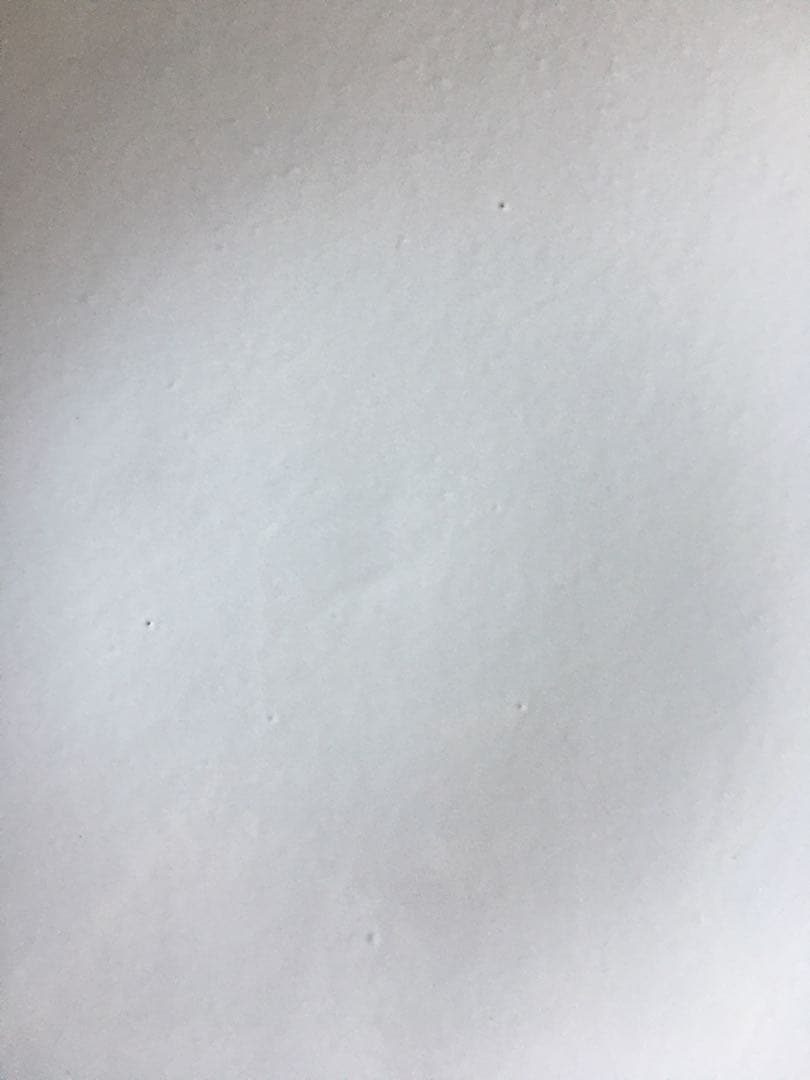 Astier de Villatte Simple 30cm ディナープレート