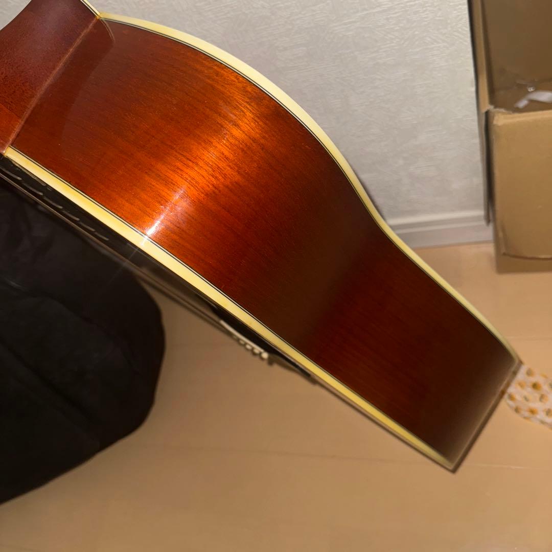 Morris アコースティックギターM-11NAT