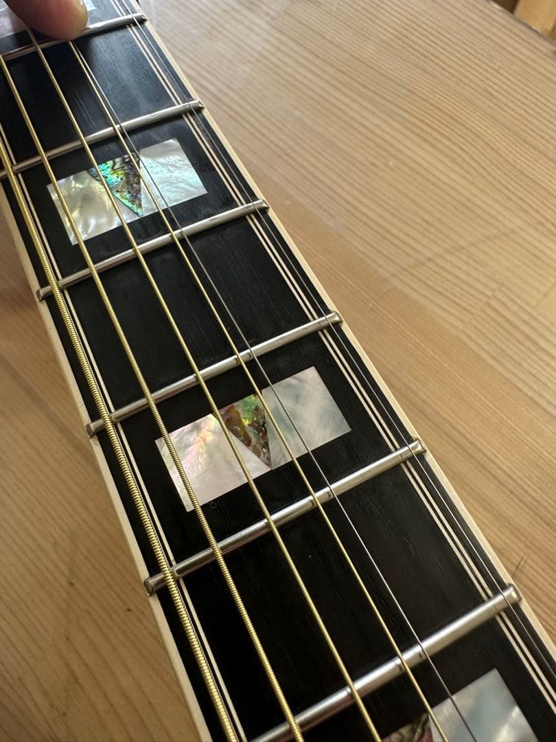 GUILD D-55 2014年製 FISHMANピックアップ ハードケース付き