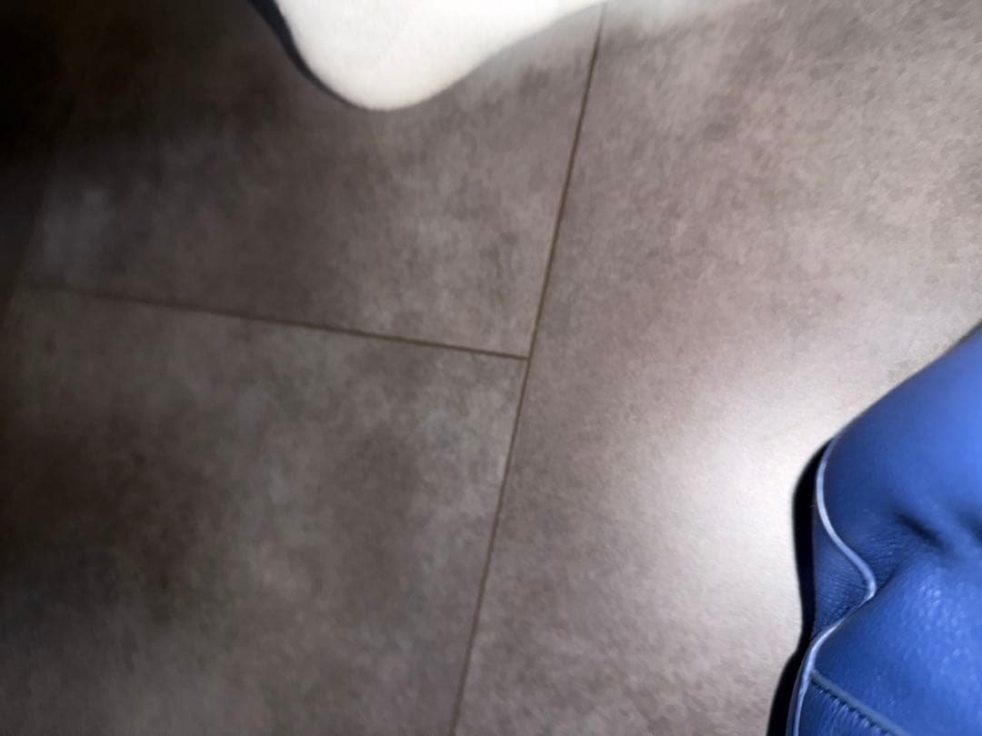 極美品　トリーバーチ　バッグ