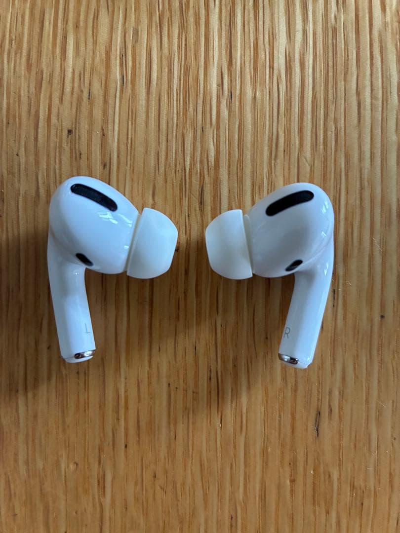 Apple AirPods Pro 第一世代（ノイキャン搭載）