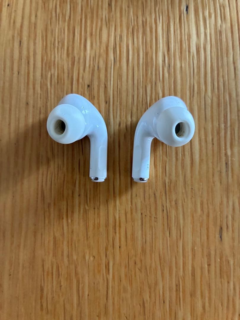 Apple AirPods Pro 第一世代（ノイキャン搭載）