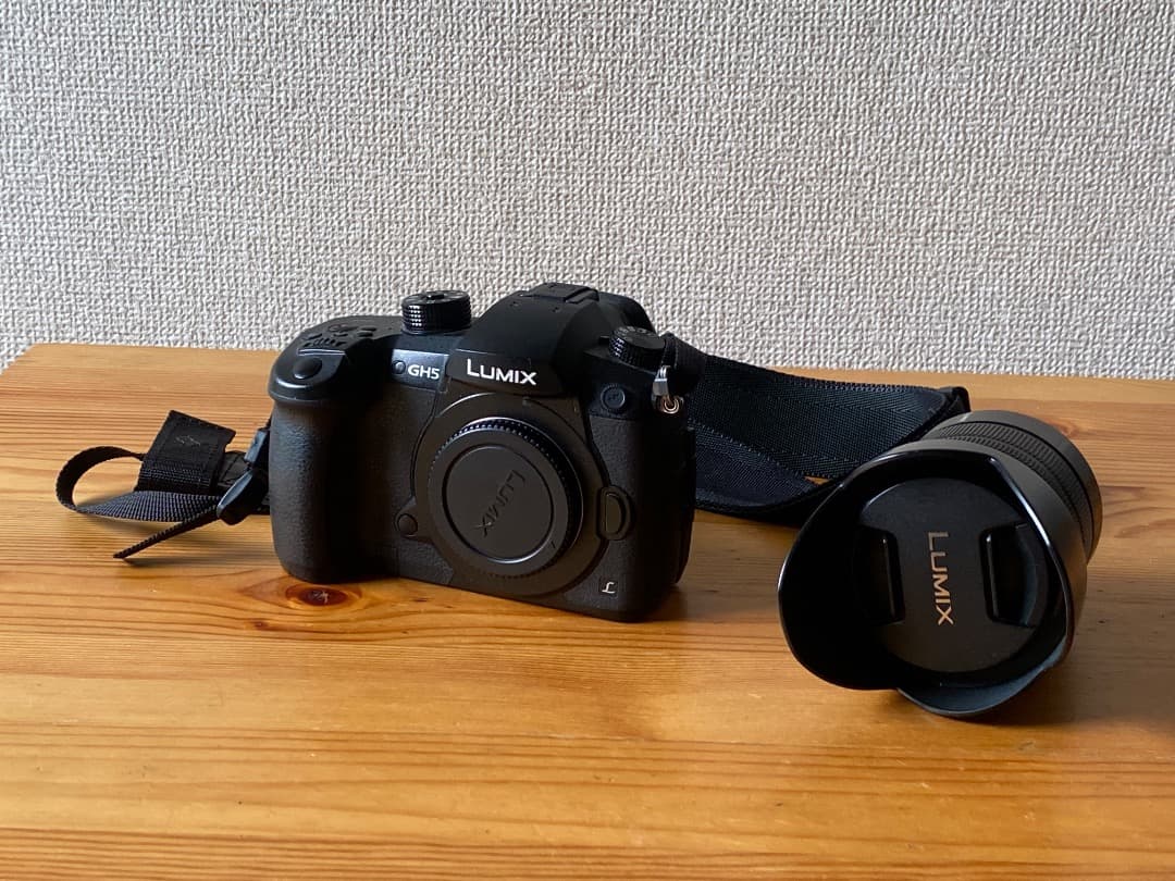 【美品】LUMIX GH5+ G VARIO 14-140mm/F3.5-5.6