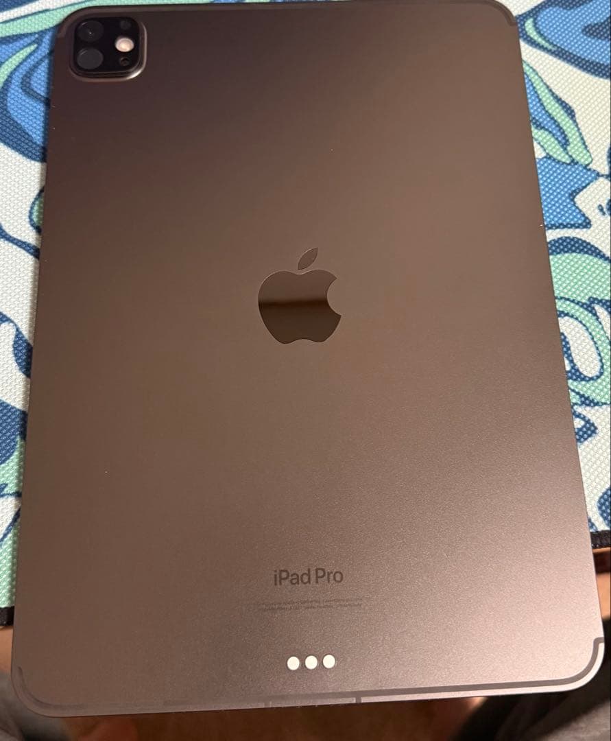 M4 iPad Pro 11インチ 256GB Wi-Fi＋セルラー ブラック