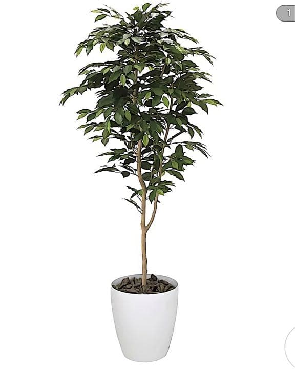 光触媒　人工観葉植物　ウォールグリーン　フェイクグリーン　ベンジャミン16