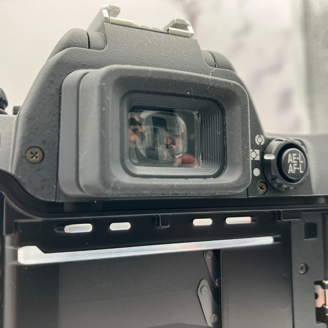 Nikon F80 ボディ MB-16 フィルムカメラ 訳あり品
