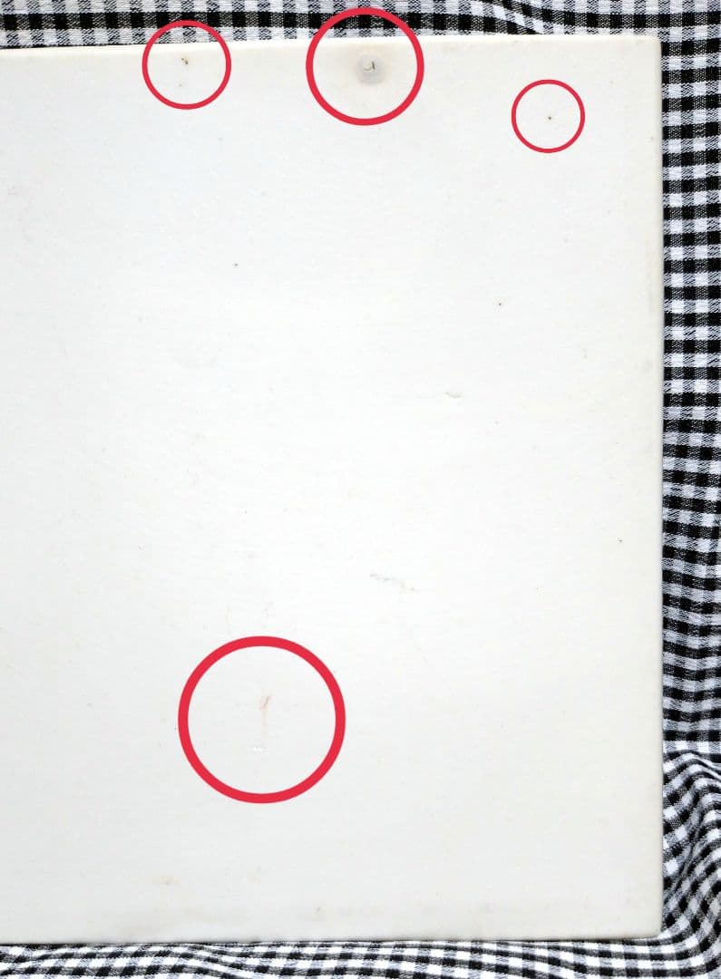 ヒグチユウコ 陶板 GUSTAVEくん3号と7号 九谷焼 タイル ギュス