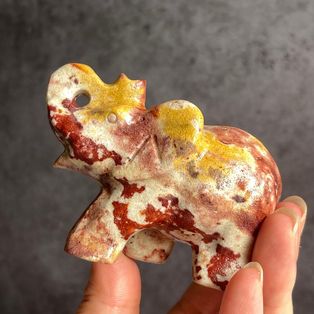 ムーアカイト 象