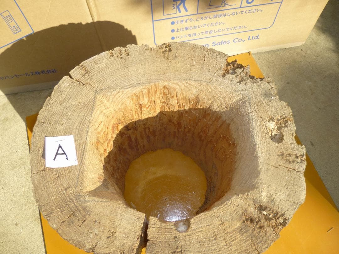 【多群入居実績あり】大寸、杉丸太（A）