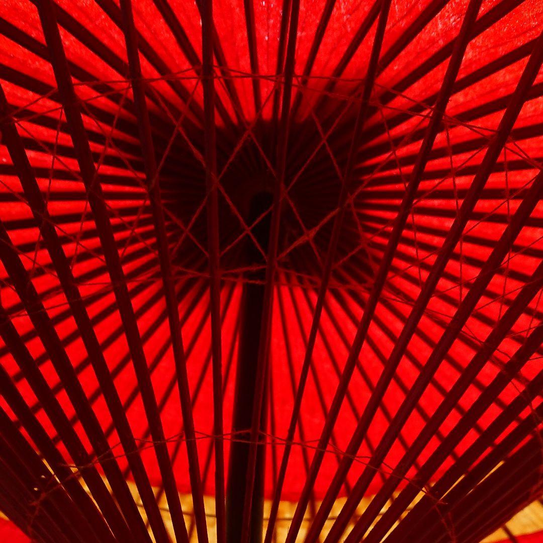 特選保證付 高級羽二重傘(一本選)