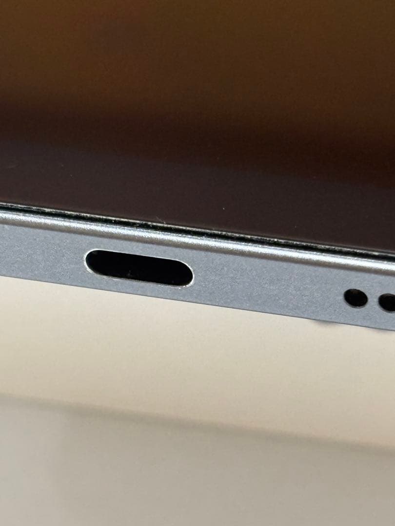 【サトウキビ】iPad mini 6 +Apple Pencil