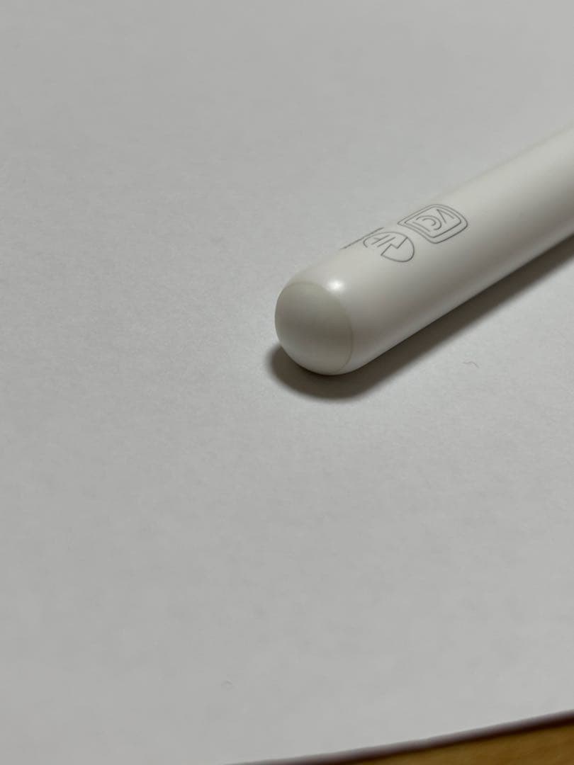 【サトウキビ】iPad mini 6 +Apple Pencil