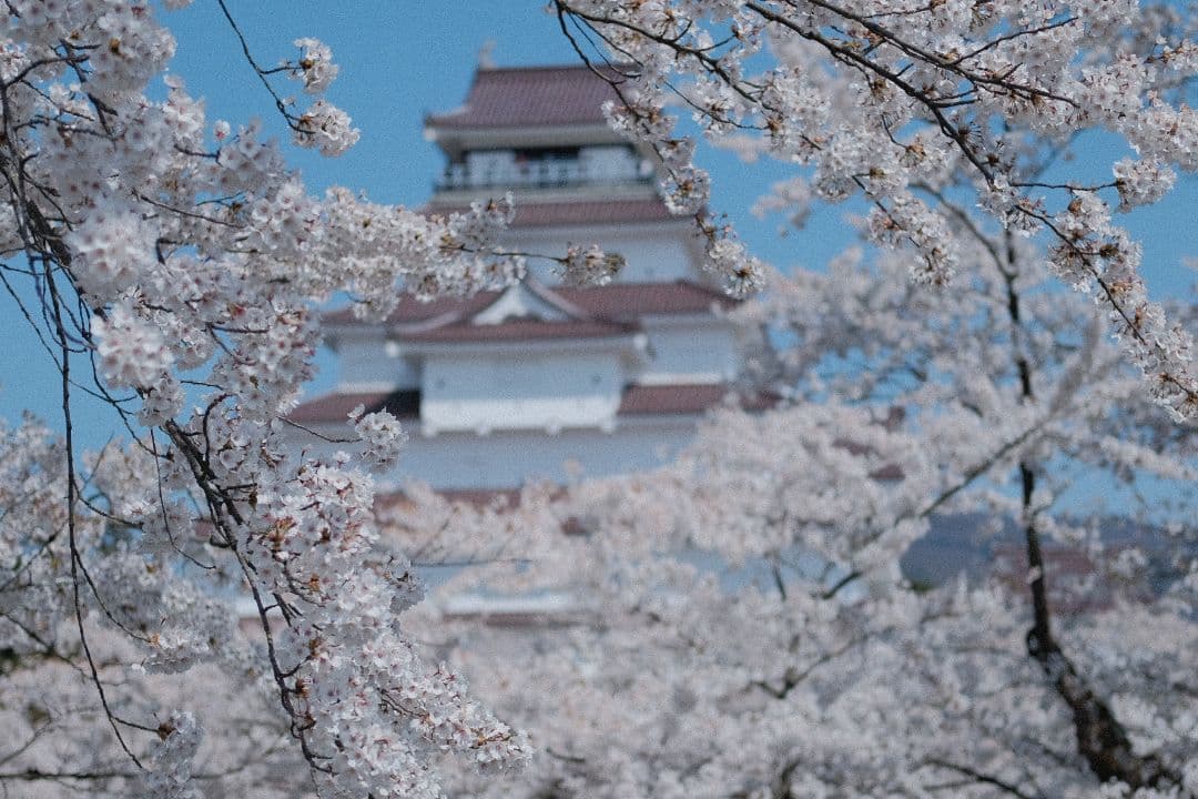 Canon RF 50mm F1.8 STM 単焦点レンズ