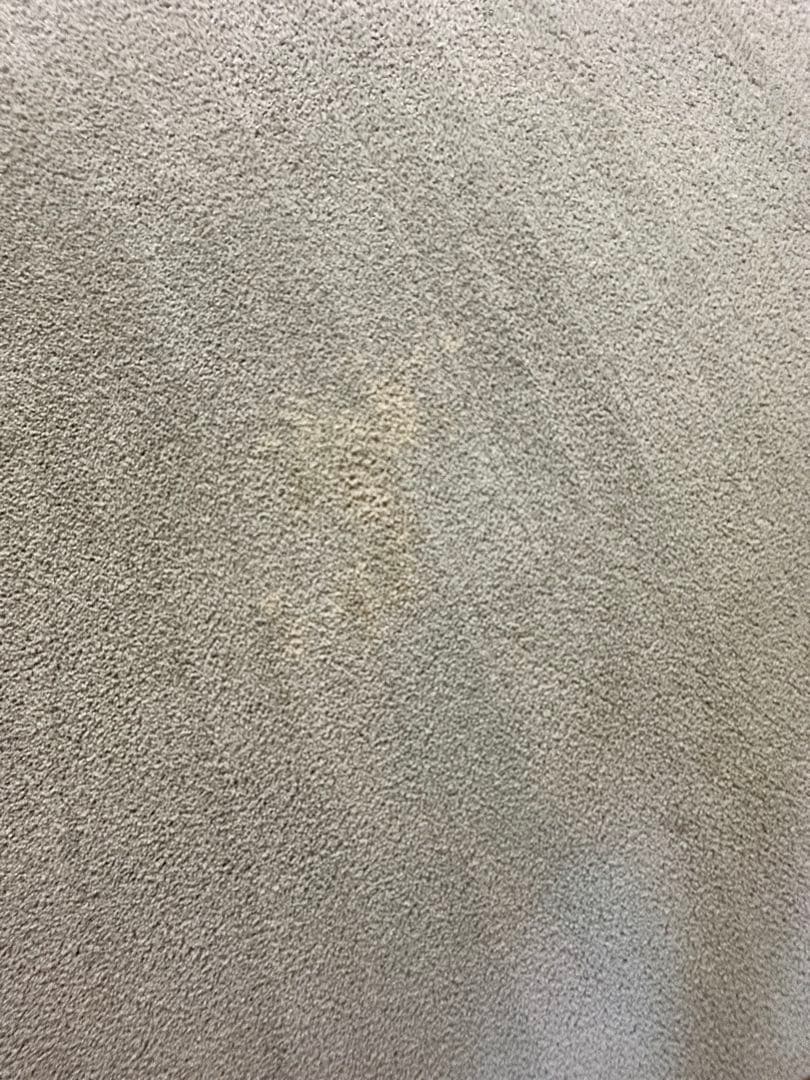 JAB 円形 ライトグレージュ　ラグ・カーペット