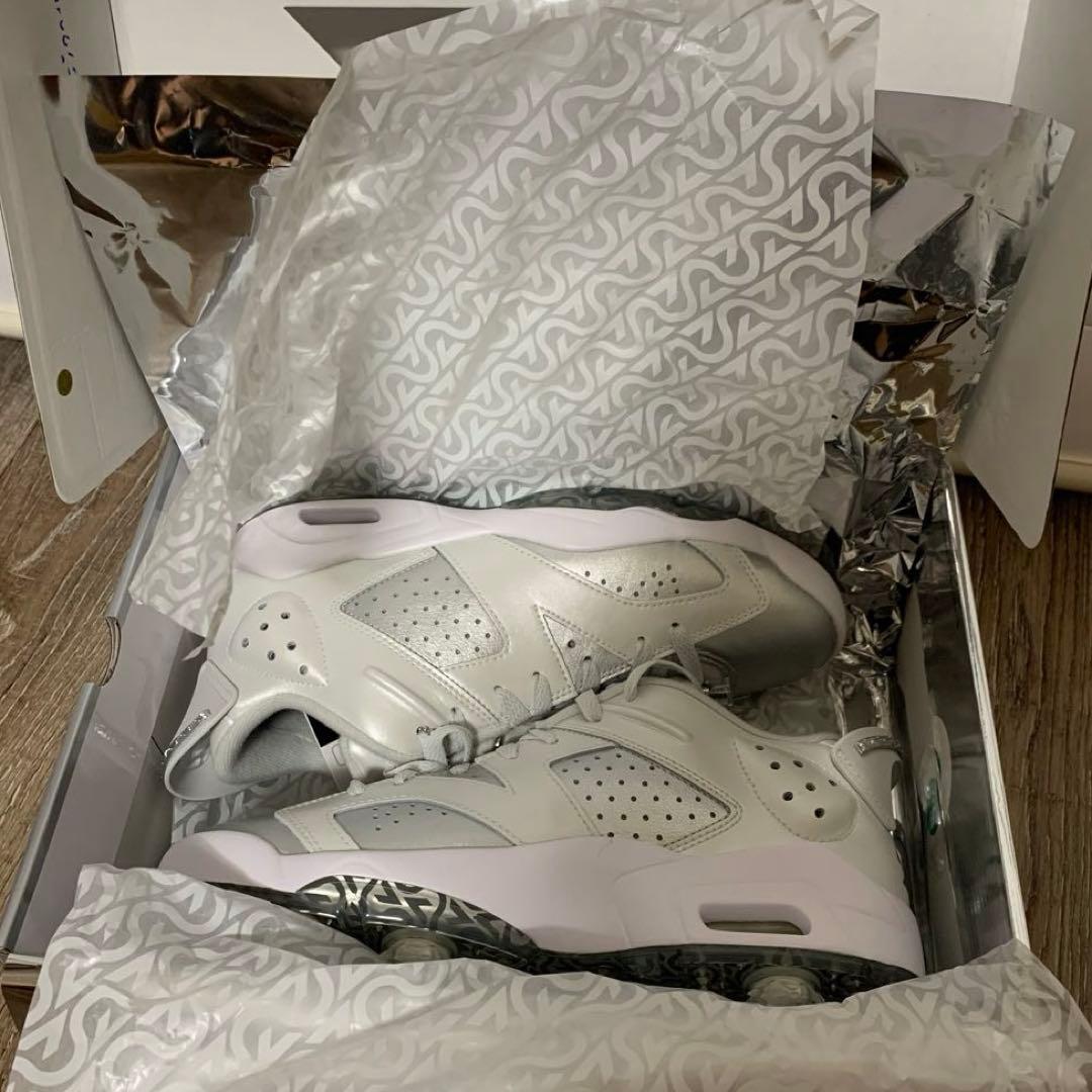 ナイキ　NIKE エア ジョーダン レトロ　6 シルバー　ゴル
